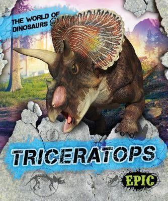 Triceratops by Sabelko, Rebecca