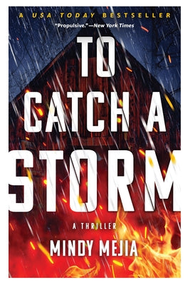To Catch a Storm by Mejia, Mindy