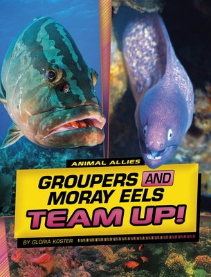 Groupers and Moray Eels Team Up! by Koster, Gloria