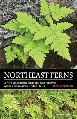 Northeast Ferns: A Field Guide to the Ferns and Fern Relatives of the Northeastern United States by Chadde, Steve W.