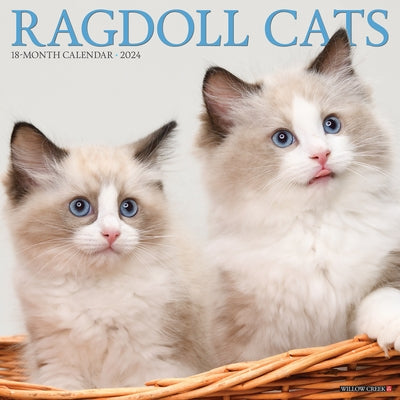 Ragdoll Cats 2024 12 X 12 Wall Calendar by Willow Creek Press