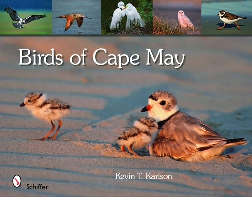 Birds of Cape May by Karlson, Kevin T.