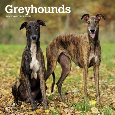 Greyhounds 2024 Square by Browntrout