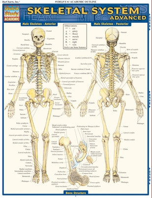 Skeletal System: Advanced by Perez, Vincent