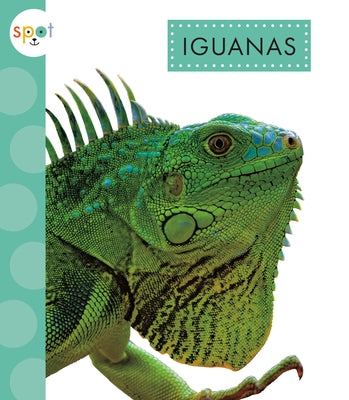 Iguanas by Thielges, Alissa