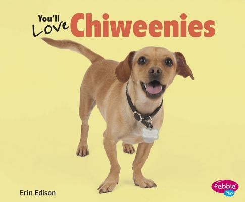 You'll Love Chiweenies by Saunders-Smith, Gail