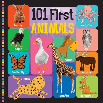 101 First Animals by Flowerpot Press