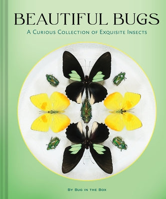Beautiful Bugs: A Curious Collection of Exquisite Insects by Bug in the Box