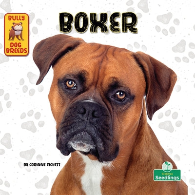 Boxer by Fickett, Corinne