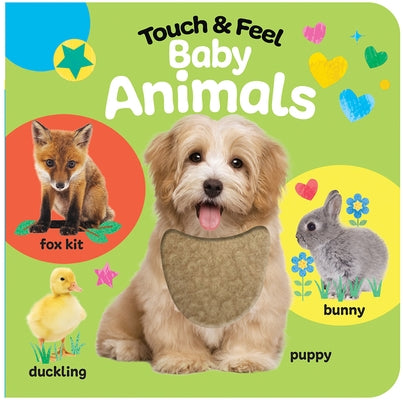 Touch & Feel Baby Animals by Galloway, Fhiona