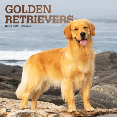 Golden Retrievers 2024 Square Foil by Browntrout