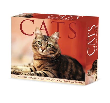 Cats 2024 6.2 X 5.4 Box Calendar by Willow Creek Press