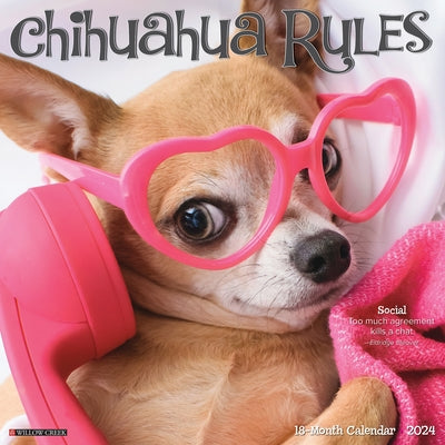 Chihuahua Rules 2024 12 X 12 Wall Calendar by Willow Creek Press