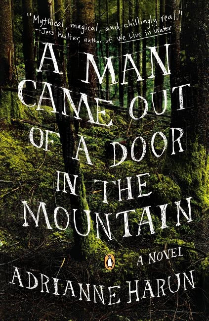 A Man Came Out of a Door in the Mountain by Harun, Adrianne
