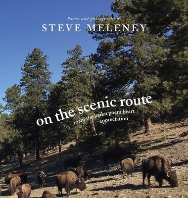 On The Scenic Route: roam the haiku poem heart appreciation by Meleney, Steve