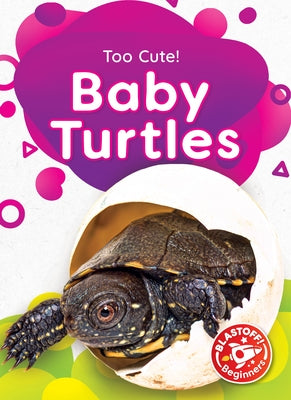 Baby Turtles by Neuenfeldt, Elizabeth