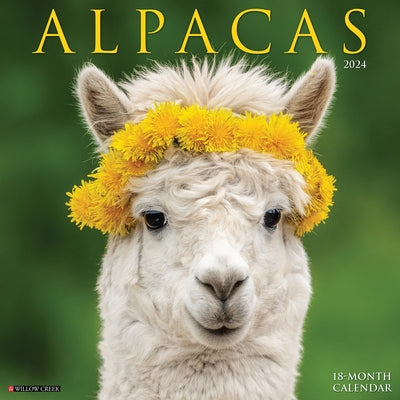 Alpacas 2024 12 X 12 Wall Calendar by Willow Creek Press
