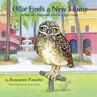 Ollie Finds a New Home, The Story of a Burrowing Owl on Marco Island by Pawelec, Roseanne