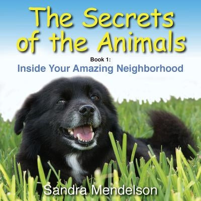 The Secrets of the Animals: Inside Your Amazing Neighborhood by Mendelson, Sandra