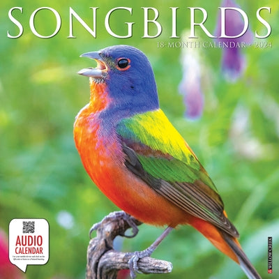 Songbirds 2024 12 X 12 Wall Calendar by Willow Creek Press