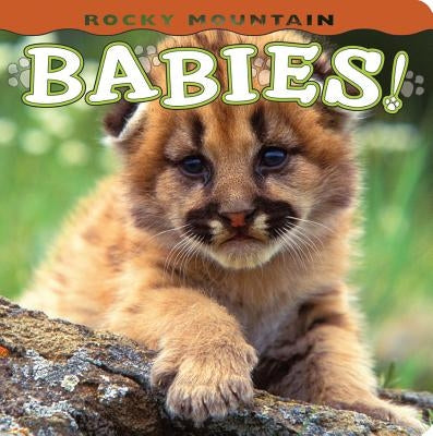 Rocky Mountain Babies! by Shattil, Wendy