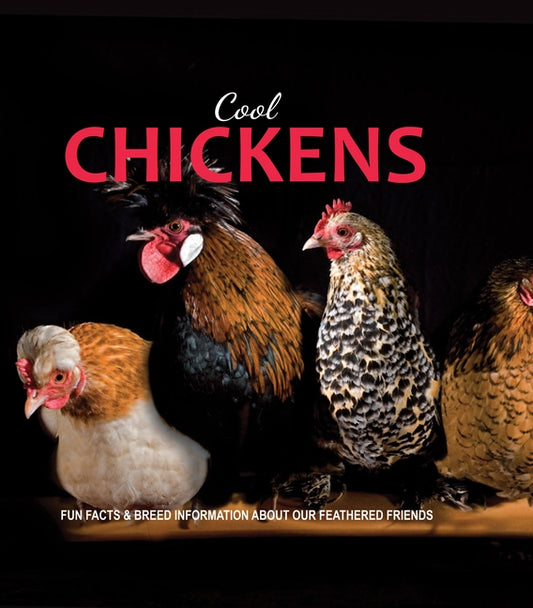 Cool Chickens by Collins, Fern