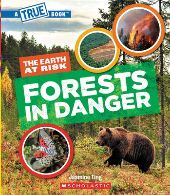 Forests in Danger (a True Book: The Earth at Risk) by Ting, Jasmine