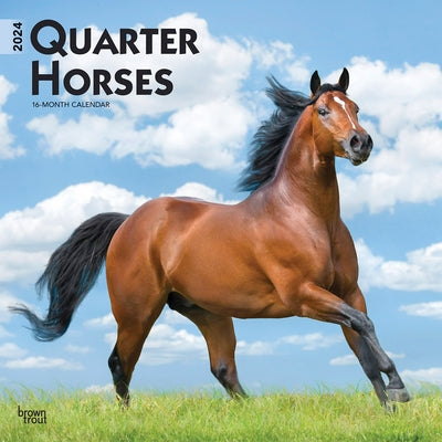Quarter Horses 2024 Square by Browntrout