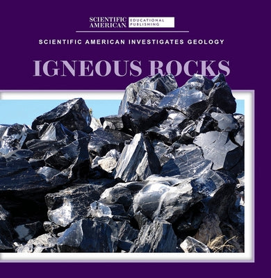 Igneous Rocks by Longoria, Taron