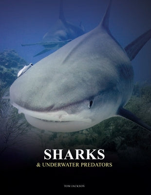 Sharks & Underwater Predators by Jackson, Tom