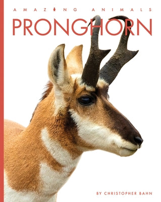 Pronghorn by Bahn, Christopher