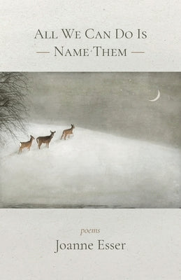 All We Can Do Is Name Them by Esser, Joanne