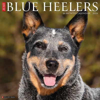Just Blue Heelers 2024 12 X 12 Wall Calendar by Willow Creek Press
