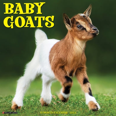 Baby Goats 2024 12 X 12 Wall Calendar by Willow Creek Press