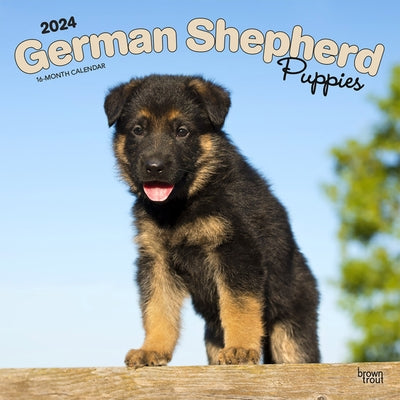 German Shepherd Puppies 2024 Square by Browntrout