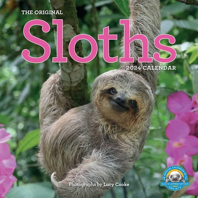 Original Sloths Wall Calendar 2024: The Ultimate Experts at Slowing Down by Workman Calendars