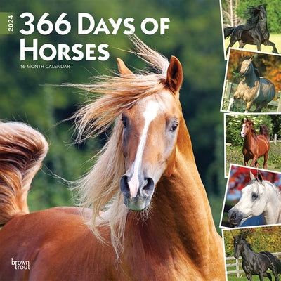 Horses, 365 Days Of, 2024 Square by Browntrout