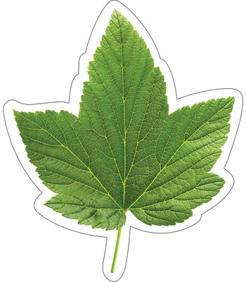 Woodland Whimsy Green Leaf Cutouts by Ralbusky, Melanie