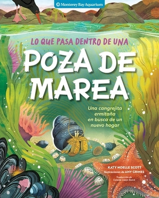 Lo Que Pasa Dentro de Una Poza de Marea: Una Cangrejita Ermitaña En Busca de Un Nuevo Hogar by Monterey Bay Aquarium
