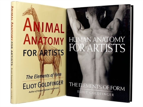 Anatomy for Artists 2 Volume Set by Goldfinger