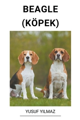 Beagle (Köpek) by Yilmaz, Yusuf