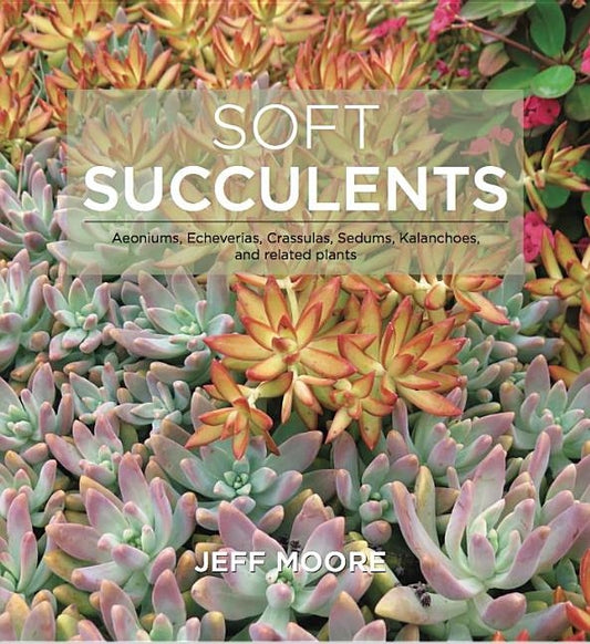 Soft Succulents: Aeoniums, Echeverias, Crassulas, Sedums, Kalanchoes, and Related Plants by Moore Jeff