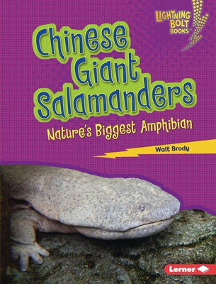 Chinese Giant Salamanders: Nature's Biggest Amphibian by Brody, Walt