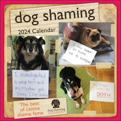 Dog Shaming 2024 Wall Calendar by Lemire, Pascale