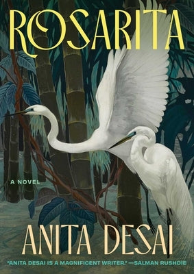 Rosarita by Desai, Anita
