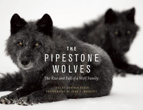 The Pipestone Wolves: The Rise and Fall of a Wolf Family by Bloch, G&#252;nther