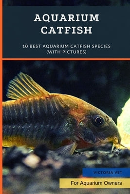 Aquarium Catfish: 10 Best Aquarium Catfish Species (With Pictures) by Vet, Victoria