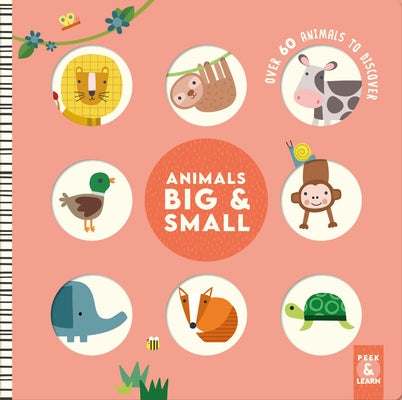 Animals Big & Small: Over 60 Animals to Discover by Weerasekera, Rebecca