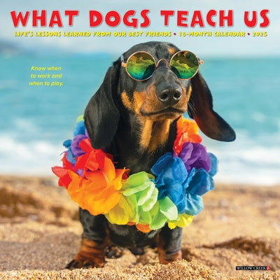 What Dogs Teach Us 2025 7 X 7 Mini Wall Calendar by Willow Creek Press