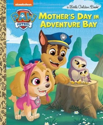 Mother's Day in Adventure Bay (Paw Patrol) by Huntley, Matt